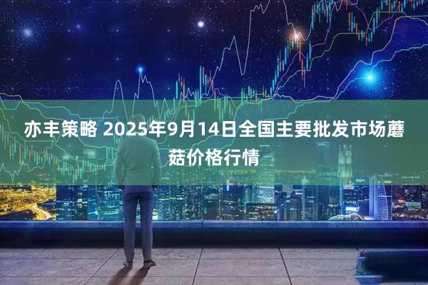 亦丰策略 2025年9月14日全国主要批发市场蘑菇价格行情