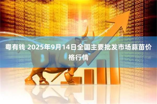 粤有钱 2025年9月14日全国主要批发市场蒜苗价格行情