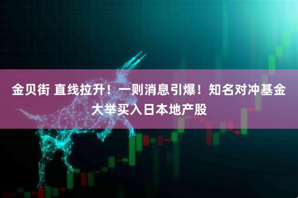 金贝街 直线拉升！一则消息引爆！知名对冲基金大举买入日本地产股