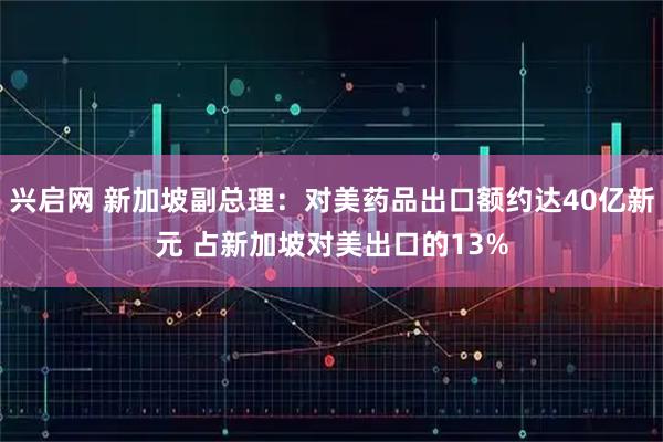 兴启网 新加坡副总理：对美药品出口额约达40亿新元 占新加坡对美出口的13%
