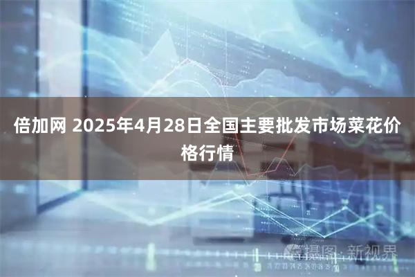 倍加网 2025年4月28日全国主要批发市场菜花价格行情