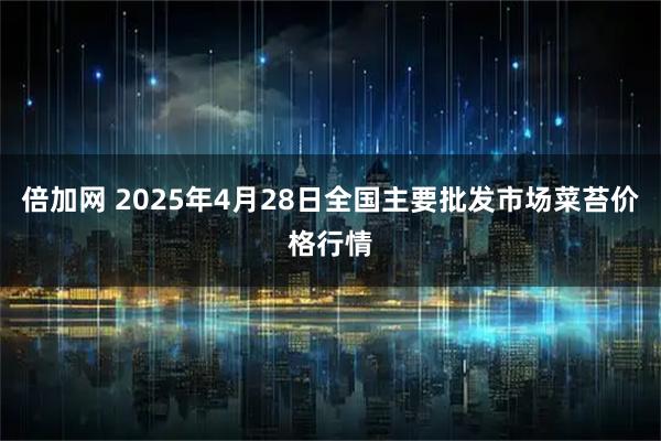 倍加网 2025年4月28日全国主要批发市场菜苔价格行情
