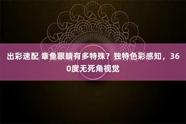 出彩速配 章鱼眼睛有多特殊？独特色彩感知，360度无死角视觉