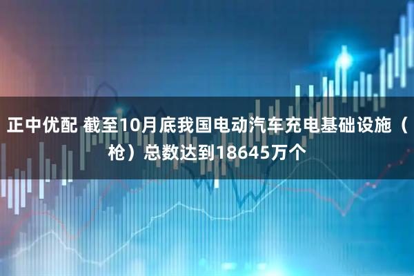 正中优配 截至10月底我国电动汽车充电基础设施（枪）总数达到18645万个
